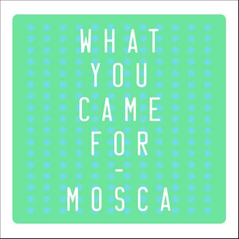 Mosca - What You Came For - Single