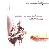 Attila Zoller - Common Cause