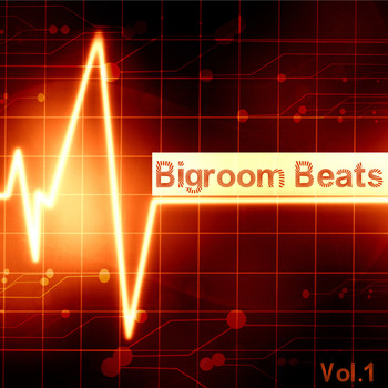 Various Artists - Bigroom Beats: Volume 1