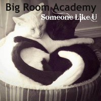 Big Room Academy - Someone Like U