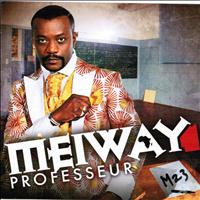 Meiway - Professeur (M 23)
