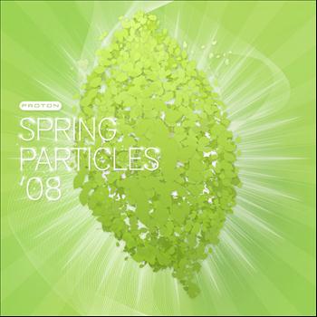 Various Artists - Spring Particles 2008