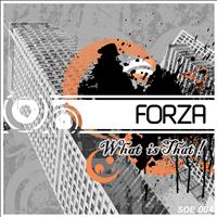 Forza - What is that!