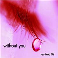 Look Brown - Without You: remixed 02