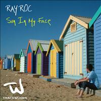 Ray Roc - Sun in my Face