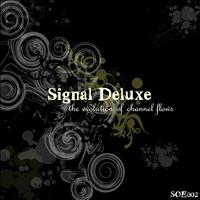 Signal Deluxe - The evolution of channel flows