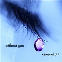 Look Brown - Without You: remixed 01