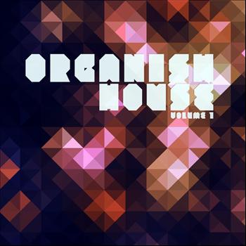 Various Artists - Organish House