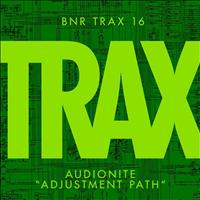 Audionite - Adjustment Path