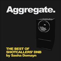 Sasha Domayn - Aggregate. The Best of Shotcallers' DnB