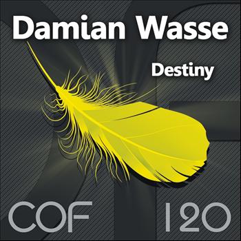 Damian Wasse - Destiny