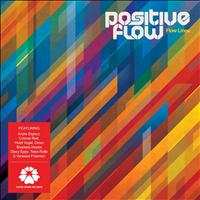 Positive Flow - Flow Lines