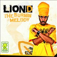 Lion D - The Burning Melody