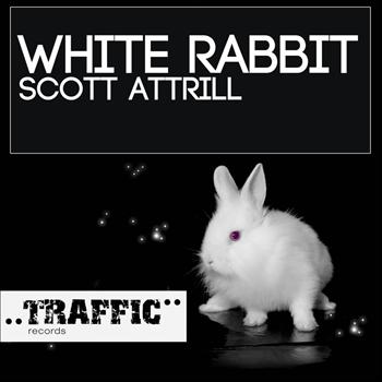 Scott Attrill - White Rabbit
