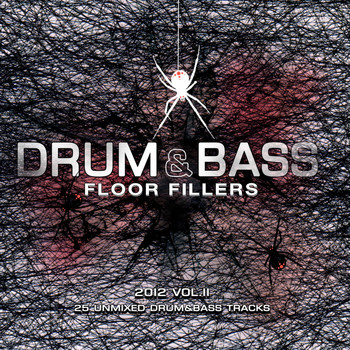 Various Artists - Drum & Bass Floor Fillers 2012 Vol.2
