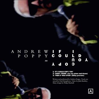 Andrew Poppy - If I Could Copy You