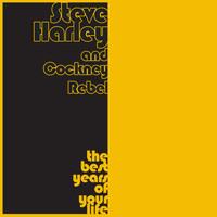 Steve Harley & Cockney Rebel - The Best Years of Your Life