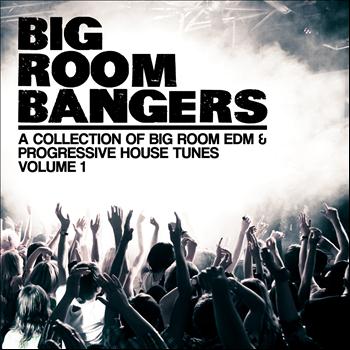 Various Artists - Bigroom Bangers, Vol. 1