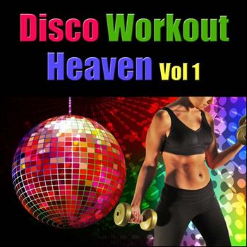 Various Artists - Disco Workout Heaven Vol 1