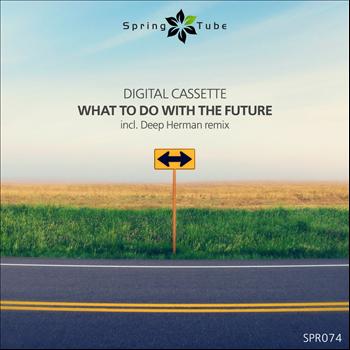 Digital Cassette - What to Do With the Future