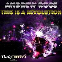 Andrew Ross - This Is a Revolution (Explicit)