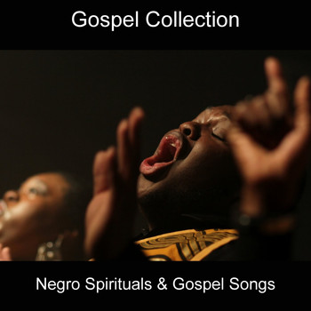 Various Artists - Negro Spirituals & Gospel Songs