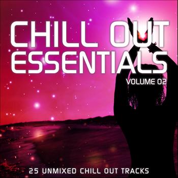 Various Artists - Chill Out Essentials Vol. 2