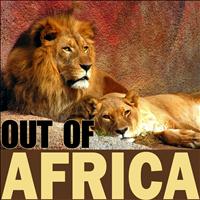 Magi Shamba - Out of Africa