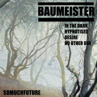 Baumeister - Baumeister