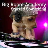 Big Room Academy - Started Something