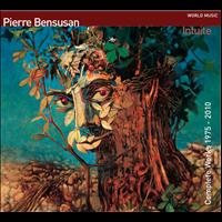 Pierre Bensusan - Intuite