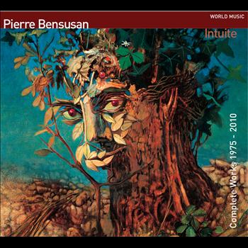 Pierre Bensusan - Intuite