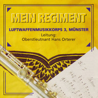 Luftwaffenmusikkorps 3 - Mein Regiment