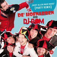 De Hofnarren feat. DJ ROM - Nicht allein nach Hause (Party Remix)
