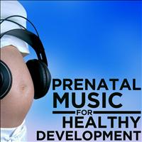 Pianissimo Brothers - Prenatal Music for Healthy Development