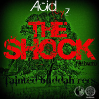 Acidtoyz - The Shock