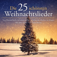 Peter Schreier - Die 25 schönsten Weihnachtslieder (Vom Himmel hoch, da komm' ich her - Süßer die Glocken nie klingen - Alle Jahre wieder - O Tannenbaum)