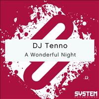 DJ Tenno - A Wonderful Night - Single