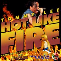 Tommy Lee - Hot Like Fire - Single