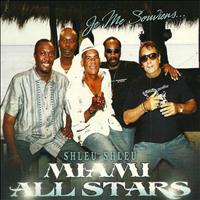 Shleu Shleu - Shleu Shleu (Miami All Stars)