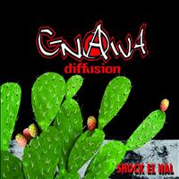 Gnawa Diffusion - Shock el hal