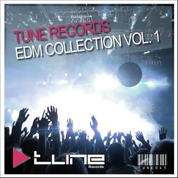 Various Artists - Tune Records EDM Collection Vol 1