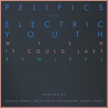 Pelifics - Wish It Could Last Remixes