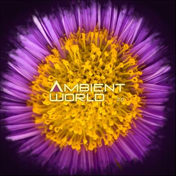 Various Artists - Ambient World 2.0