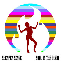 Shenpen Senge - Soul in the Disco