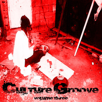 Various Artists - Culture Groove Vol 3 Platinum Edition