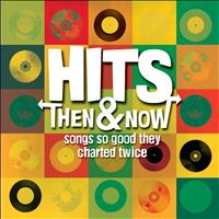 The Sign Posters - Hits: Then & Now… So Good They Charted Twice