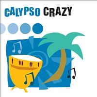 The Sign Posters - Calypso Crazy