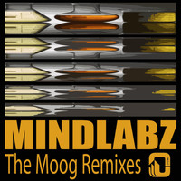 Mindlabz - The Moog (Remixes)