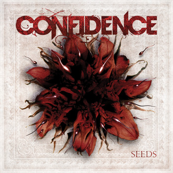 Confidence - Seeds